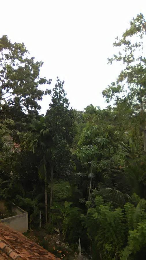 Mallika Resort Mirissa Exterior photo